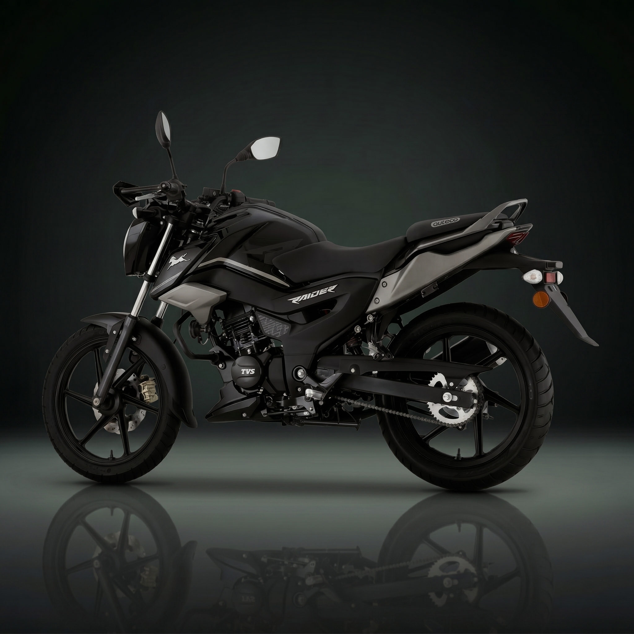 TVS Raider 125 8
